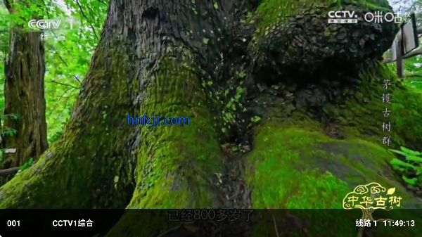 ��Ӱ����4KTV��