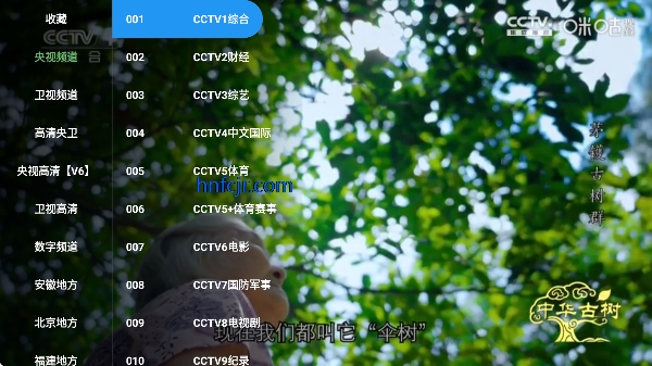 ��Ӱ����4KTV��