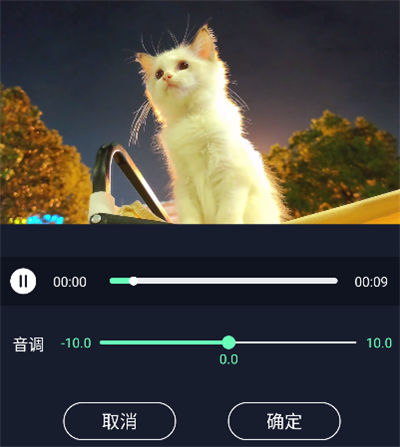 �������ּ���(��Ƶ��������)