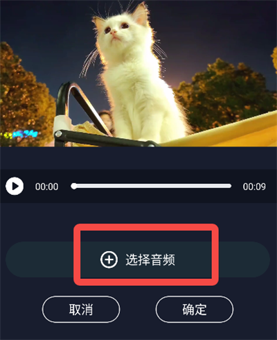 �������ּ���(��Ƶ��������)