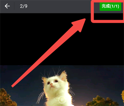 �������ּ���(��Ƶ��������)