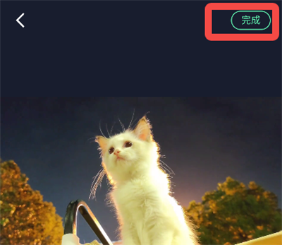 �������ּ���(��Ƶ��������)