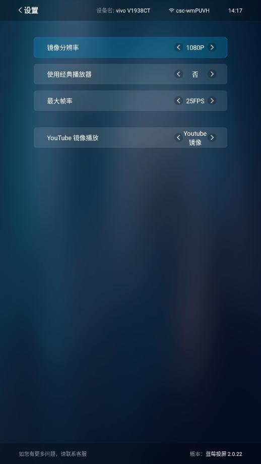 蓝莓投屏app官方正版截图4