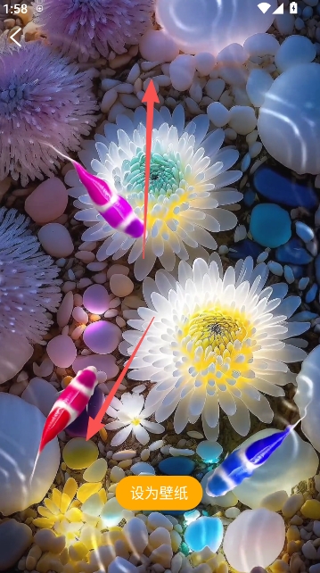 ��������ֽ(��������ֽ����)