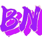 BNֱװ�ƽ��v7.8 ���°�