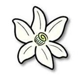 Azaharģ��������ָv2125.0-alpha1-vanilla ��׿��