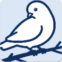 bbspace�ͻ����ֻ���v1.6.6 ��׿��