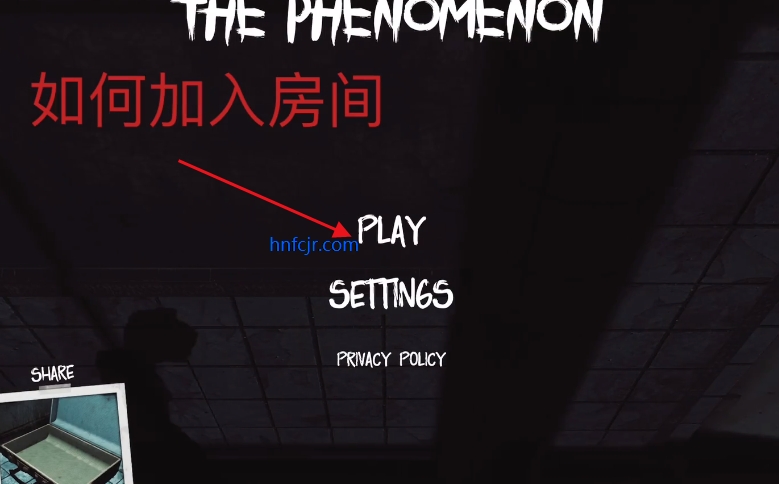 thephenomenon�ٷ���������