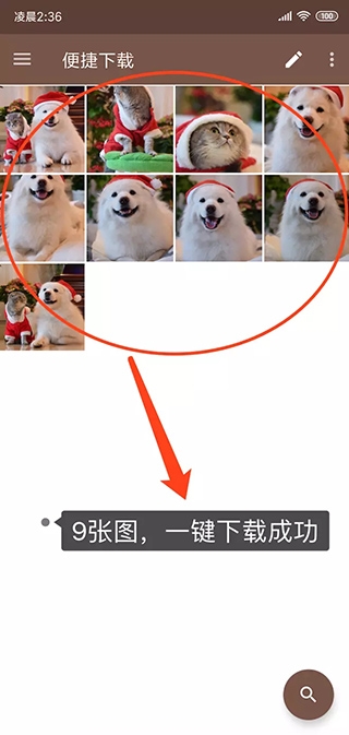 ����������°汾