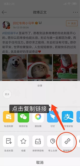 ����������°汾