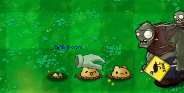 ֲ���ս��ʬ�����װ��ֻ���