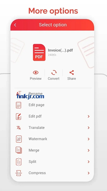 PDF Converter�߼�������