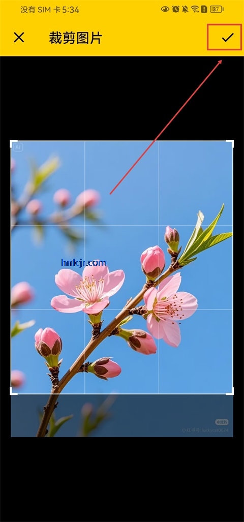 ƴ������app�ٷ���