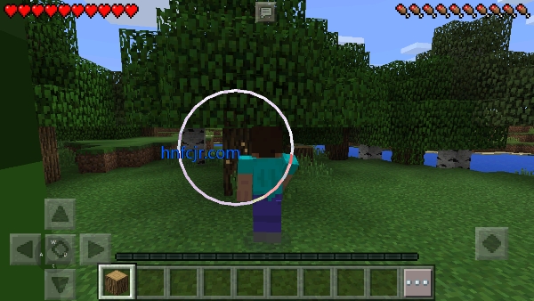�ҵ�����Я�����ֻ���(Minecraft - Pocket Edition)