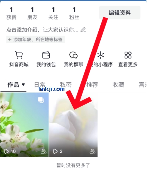 �����ڲ�汾app