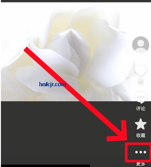 �����ڲ�汾app