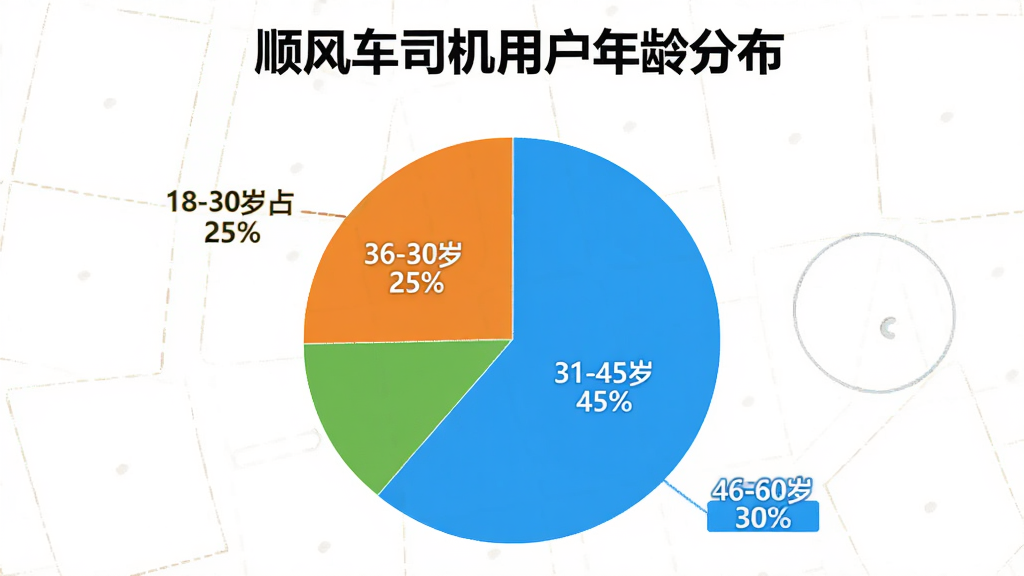 图片主体为饼状图,标题为“顺风车司机用户年龄分布”,分为18-30岁占25%,31-45岁占45%,46-60岁占30%。布局居中,配色鲜艳,风格信息图表,细节有百分比标签,画质干净。