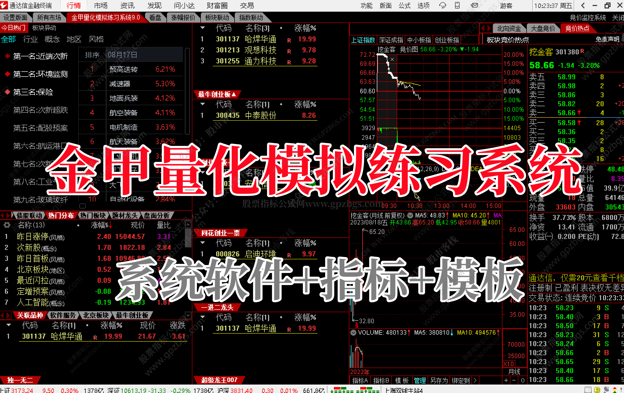 金钻 安卓版 界面