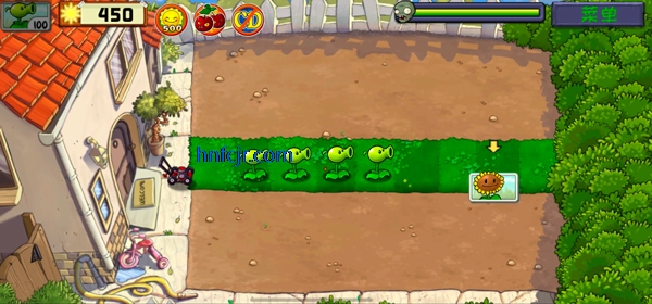 pvz���������pak
