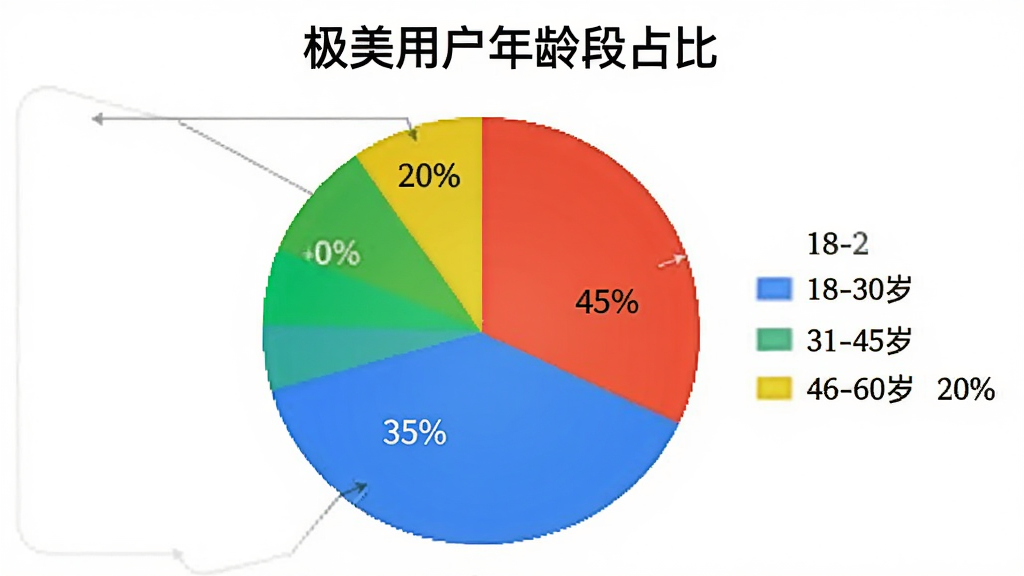 一张饼状图,展示“极美”用户年龄分布:18-30岁占45%,31-45岁占35%,46-60岁占20%,图中用鲜明的颜色区分,图例清晰,标题为“极美用户年龄段占比”,风格简洁,画质干净无多余元素。