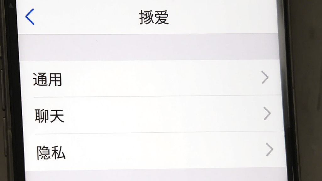 一张手机截图,展示“挝爱”的设置页面,包含“通用”、“聊天”、“隐私”等选项,背景简洁,文字清晰,画质干净。