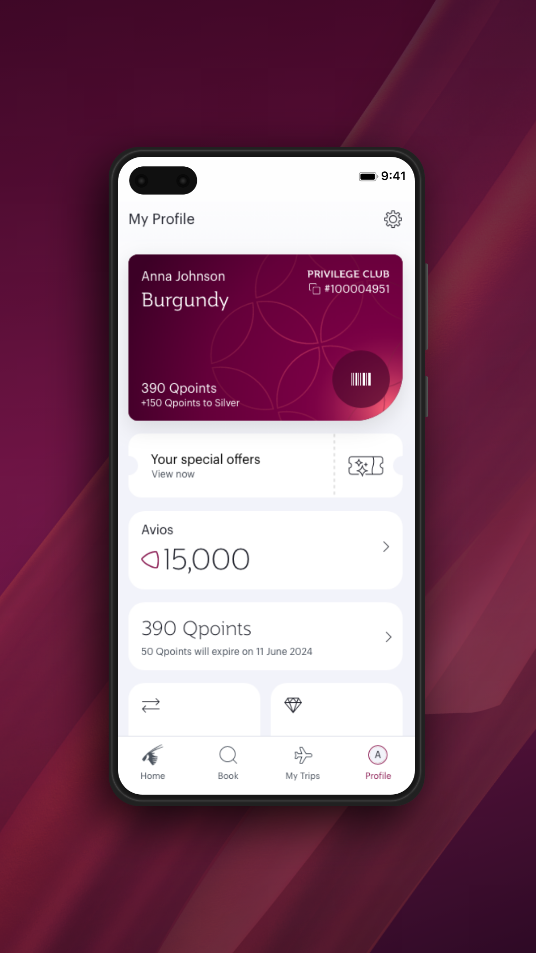 ����������Qatar Airways��ͼ7