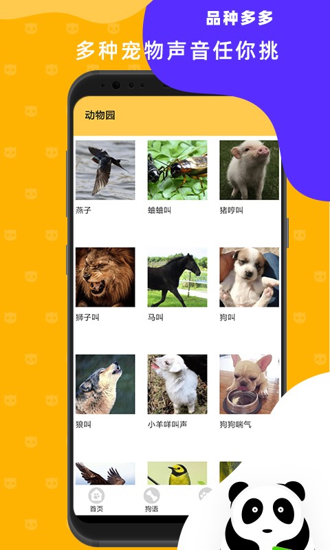 ����è�䷭���� ��׿�� ʹ�ý̳�