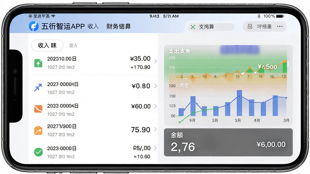 ��������APP�Ĳ������ҳ�棬����Ϊ�ֻ���Ļ�ϵ��˵��б���ͳ��ͼ����������ʾ���롢֧�������������֣��Ű�ֱ�ۣ��������������ϸ�ڰ���ÿһ�ʽ��׵����ںͽ����ʸɾ��޶���Ԫ��