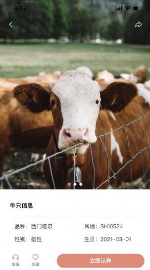 ��ţ ��׿�� �û�����