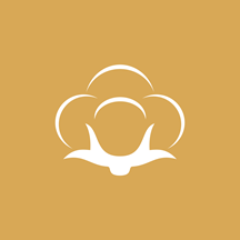 ��ɴ��-���WiFi���ӹ���vV1.2.0 �ֻ���