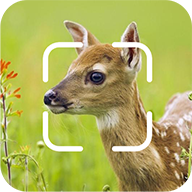 TrailCam Go-Ұ������̽�����v2.10.5��׿��