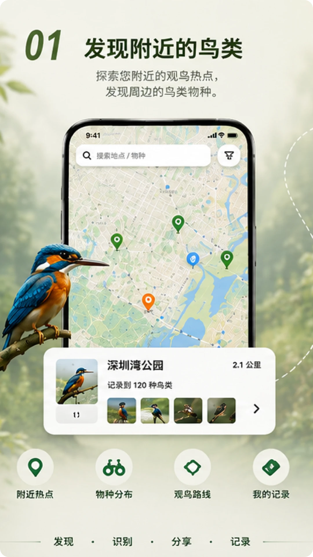 Go Birding-�����¼���ֽ�ͼ0