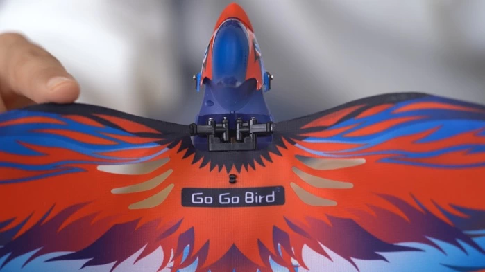 Go Birding �û����� ����