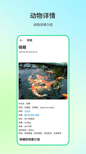 动物百科 安卓版 界面截图