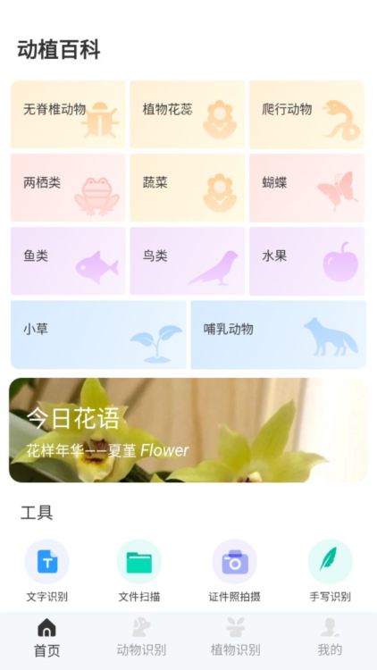动物百科 安卓版 用户评价