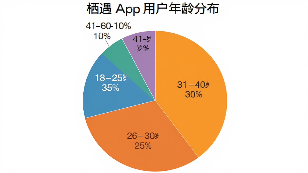 一张饼状图,展示“栖遇”App用户年龄分布,18-25岁占35%,26-30岁占25%,31-40岁占30%,41-60岁占10%,图表配色清晰,标注详细,画质干净。