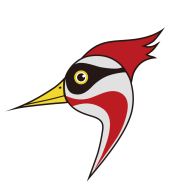 ��ҽ��-������������v1.53 �ٷ���
