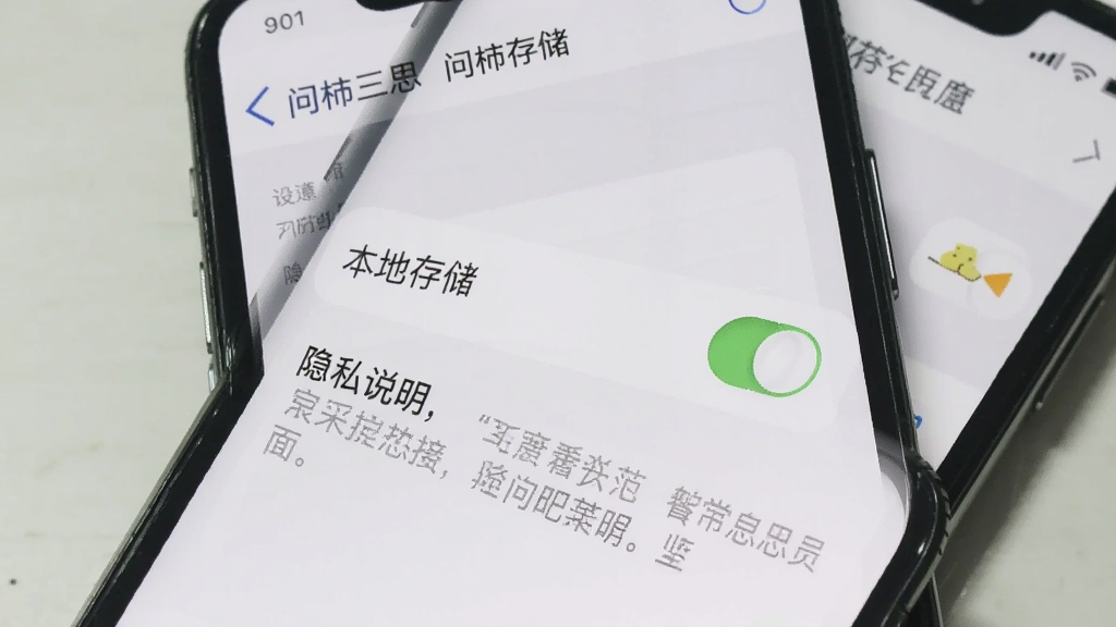 一张手机屏幕特写,展示“问柿三思”的设置与存储界面,画面中有本地存储开关和隐私说明文字,界面风格简约,以白色和淡灰色为主,图标线条纤细,文字清晰,手机边缘有柔和阴影,背景为浅色桌面,整体画质干净,无杂乱元素