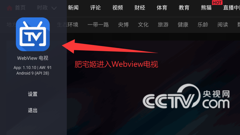 WebTV 安卓版 下载安装