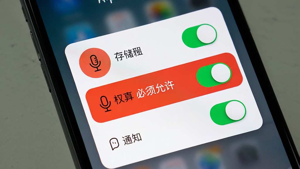 ����¼ App Ȩ�������������棬�ֻ���Ļ��ʾ��˷硢�洢��֪ͨ����Ȩ�޿��أ���˷�Ȩ���ú�ɫ������ע�������������������ǰ�ɫ��Ƭʽ���֣��������ֱ�ۣ����ʸɾ�
