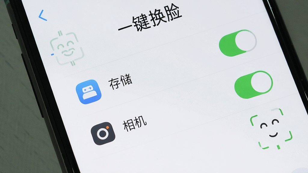 一张手机屏幕显示“一键换脸”app的权限设置界面,画面中列出了“存储”和“相机”两个权限选项,并且都处于允许状态,背景是浅色界面,图标清晰,风格简洁,画质干净,无多余元素