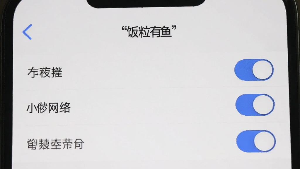 一张手机屏幕展示“饭粒有鱼”的权限设置页面截图,画面中有存储、网络等权限开关,背景白色,开关为蓝色,文字加引号“饭粒有鱼”,风格简洁清晰,画质干净,无多余元素