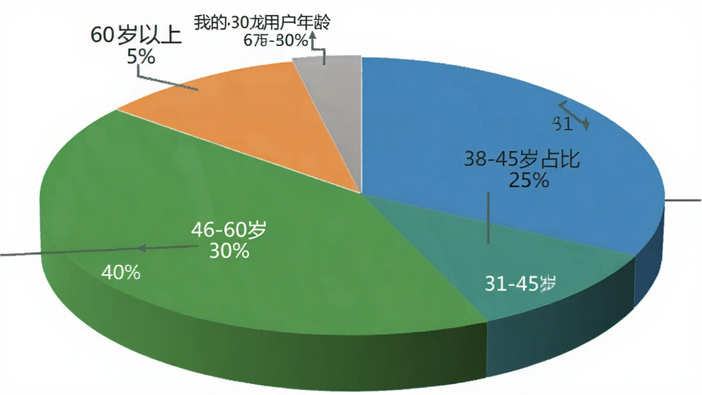 一张饼状图展示“我的龙工”用户年龄分布,图表分为四个扇形区域,分别标注18-30岁占比25%、31-45岁占比40%、46-60岁占比30%、60岁以上占比5%,配色以蓝绿橙灰区分,背景干净白色,风格简洁商务,画质清晰