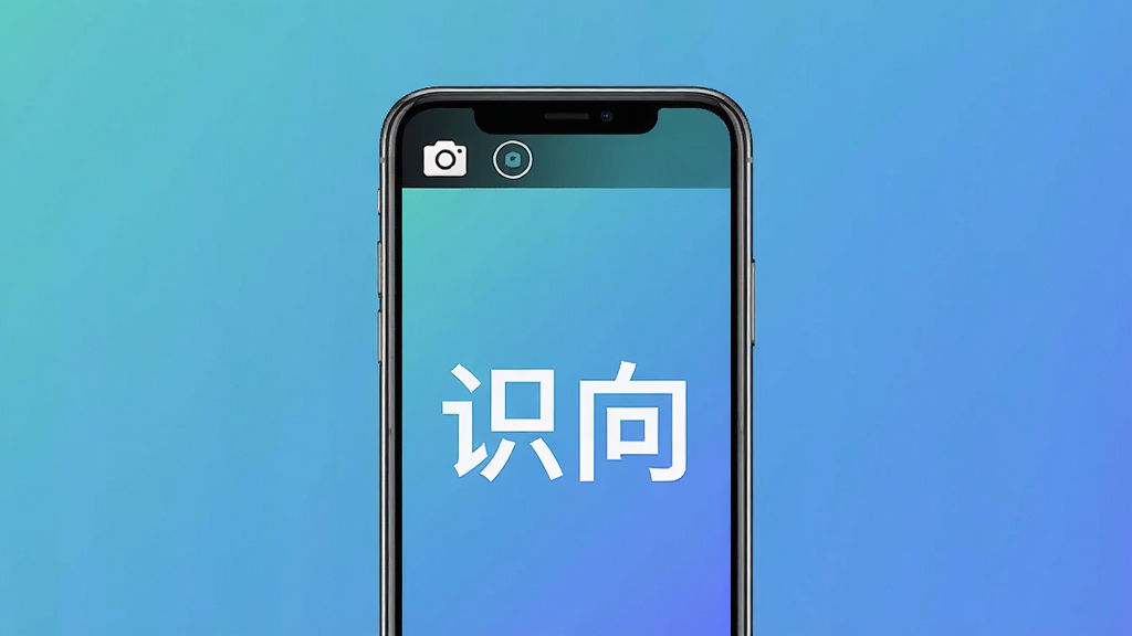 һ��չʾʶ��App���������Ƶ�ƽ��ͼ�������������ֻ���Ļ����Ļ��ֻ�����ͼ��͡�ʶ���������֣������Ǵ�ɫ���䣬û���κι�����͵�������񼫼�ɾ��������������޶���Ԫ�ء�