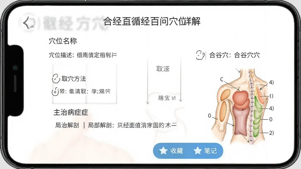 ѭ������Ѩλ���ҳ�棬�ֻ���Ļ��ʾ�Ϲ�Ѩ����ϸ˵��������Ѩλ���ơ���λ������ȡѨ���������β�֢�;ֲ�����ͼ��ҳ��ײ����ղغͱʼǰ�ť������Ϊ��ɫ�������Ű����룬�����ˬ�ɾ���