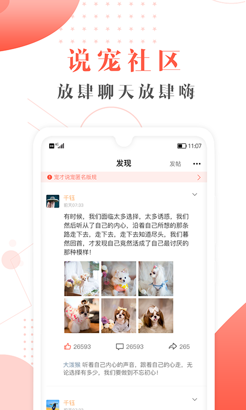 宠才宝 安卓版 下载