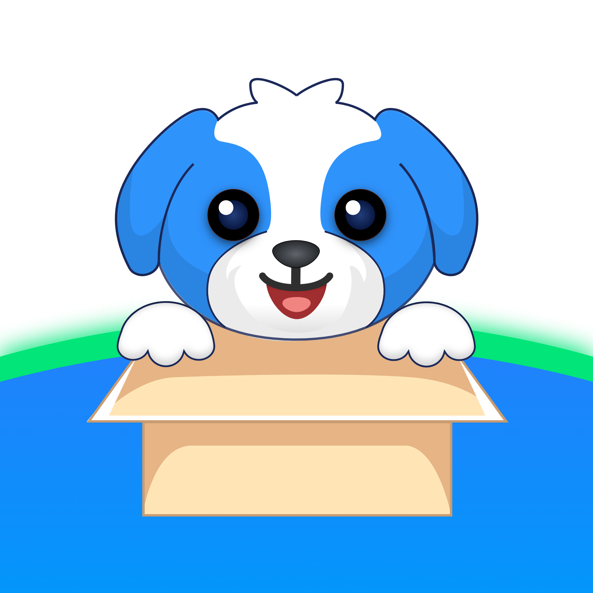 �ʹﹷ-�ֻ�WiFi���ӹ���v3.1.5 ��׿��