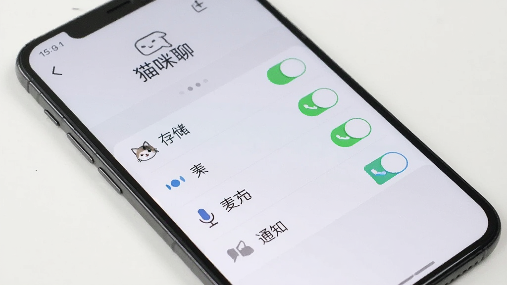 �ֻ���Ļ��ʾè���ĵ�Ȩ������ҳ�棬�д洢����˷硢֪ͨ��Ȩ�޿��أ������࣬����Ϊǳɫ����������