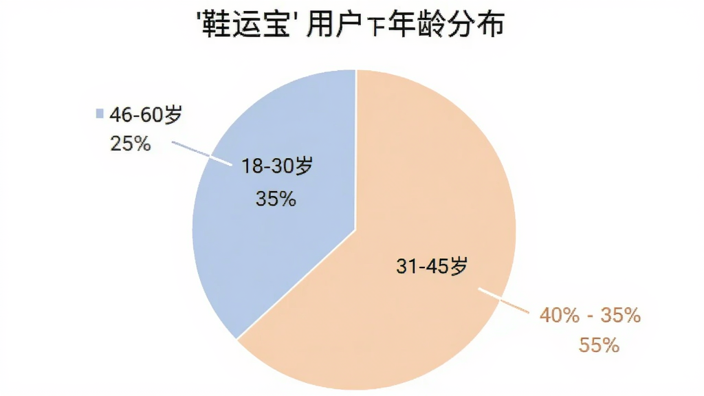 一张饼状图,展示“鞋运宝”用户年龄分布,图表分为三块,分别标注“18-30岁 35%”“31-45岁 40%”“46-60岁 25%”,配色柔和,背景白色,风格简洁,画质干净
