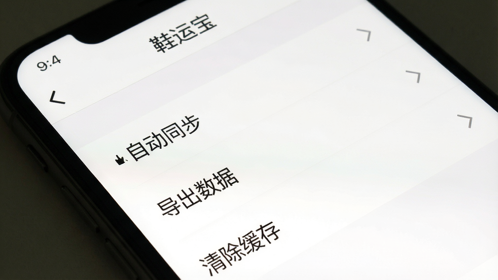 一张手机截图,展示“鞋运宝”的设置界面,画面中有“自动同步”“导出数据”“清除缓存”等选项,背景为白色,文字清晰,风格简洁,画质干净